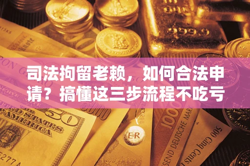 北京司法拘留老赖，如何合法申请？搞懂这三步流程不吃亏！