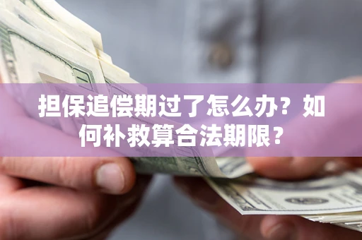 北京担保追偿期过了怎么办？如何补救算合法期限？